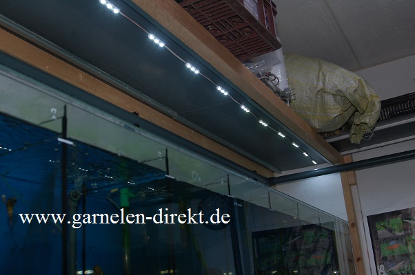 LED-Module in der Aquarienanlage